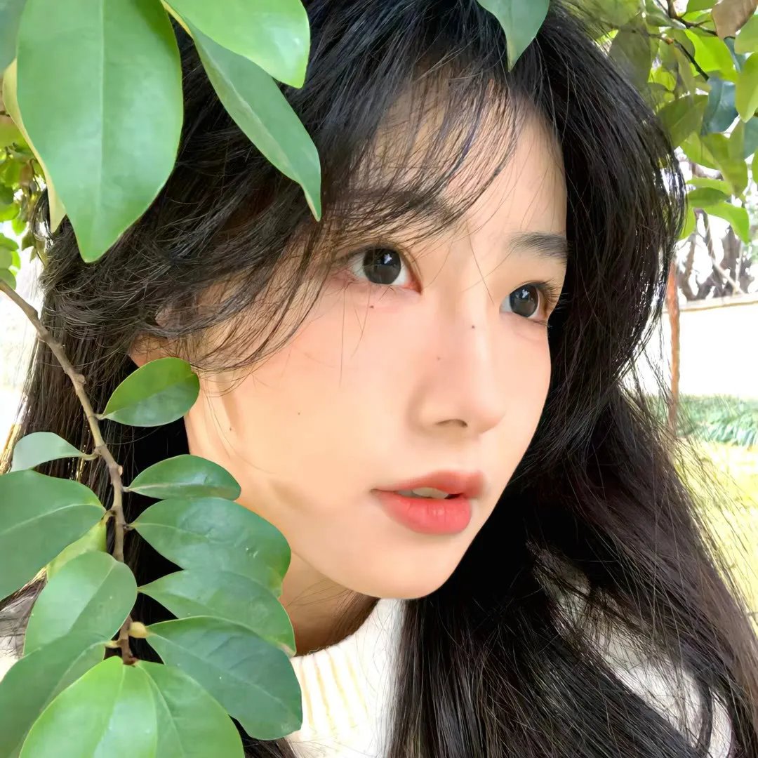 十全九美村